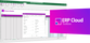 More4apps ERP Cloud Toolbox