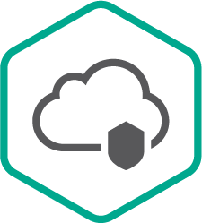 Kaspersky Endpoint Security Cloud Plus, User Russian Edition (подписка), Successive Plus License на 2 года. Количество рабочих станций/файл-серверов