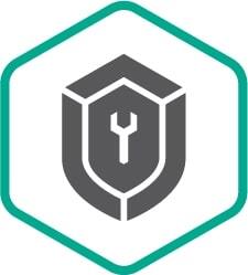 Расширенная техническая поддержка (сертификат на 2 года), Start
